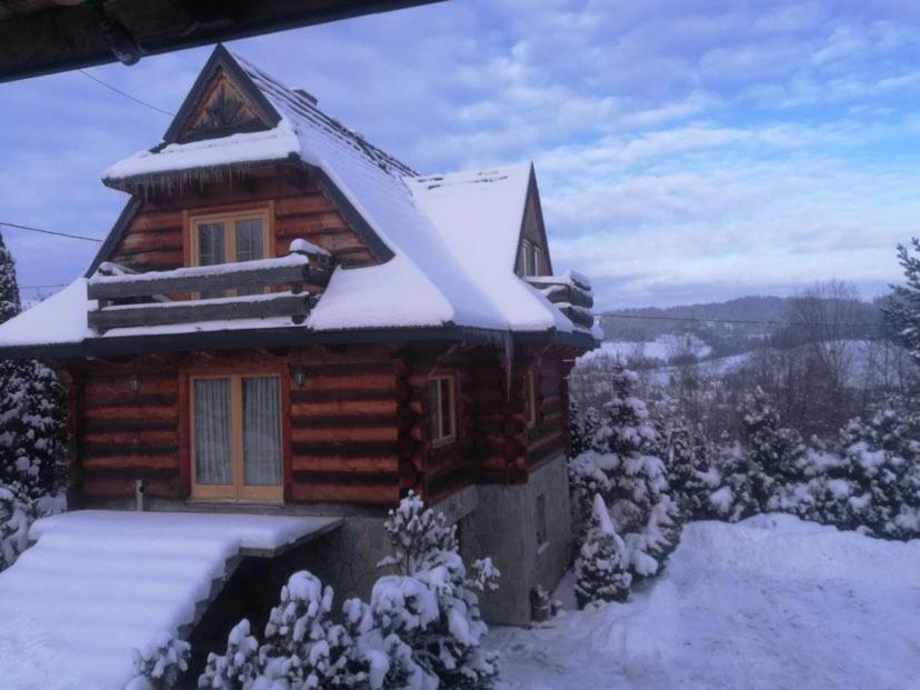 Willa Bukowina Daire Bukowina Tatrzańska Dış mekan fotoğraf