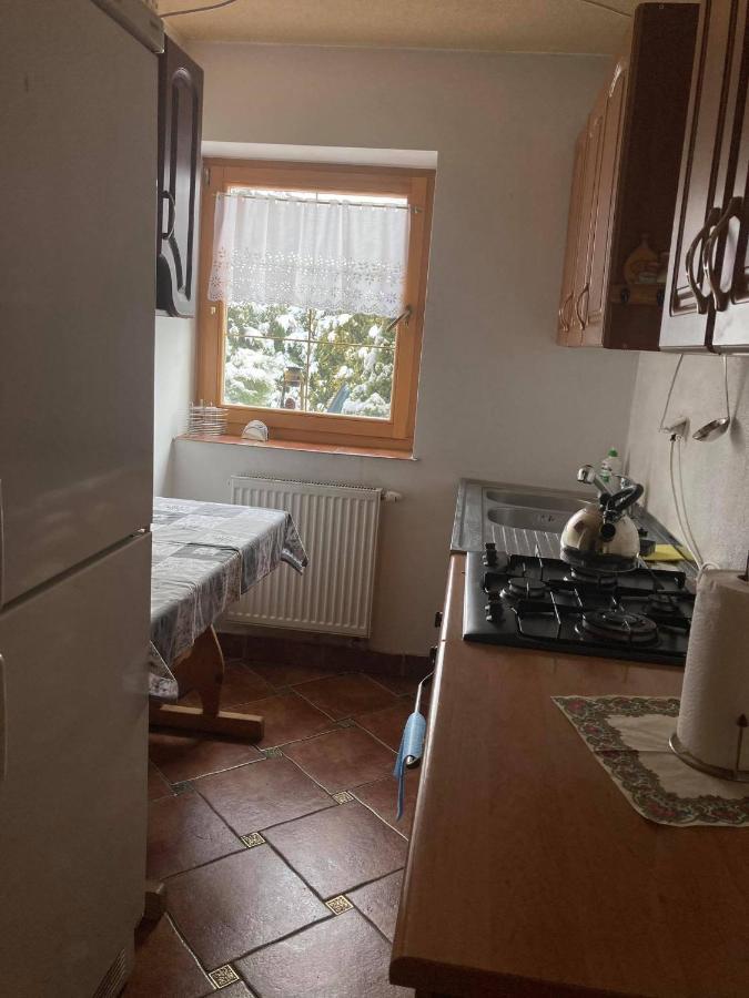 Willa Bukowina Daire Bukowina Tatrzańska Dış mekan fotoğraf